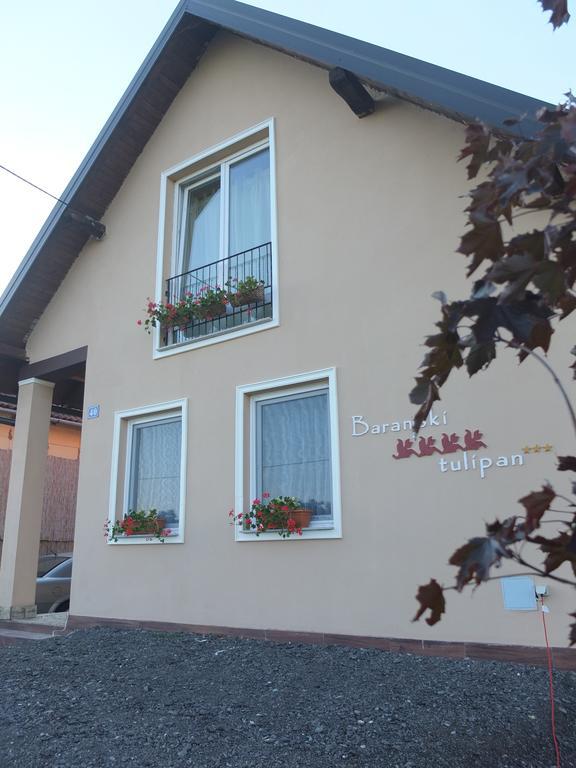 Country House Baranjski Tulipan Draž Exterior foto