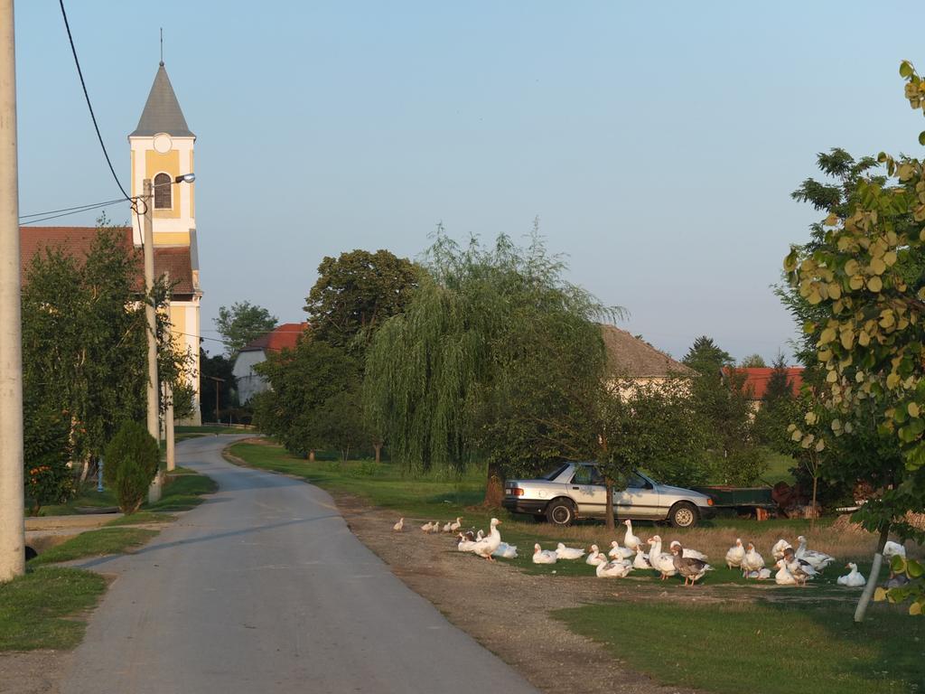 Country House Baranjski Tulipan Draž Exterior foto