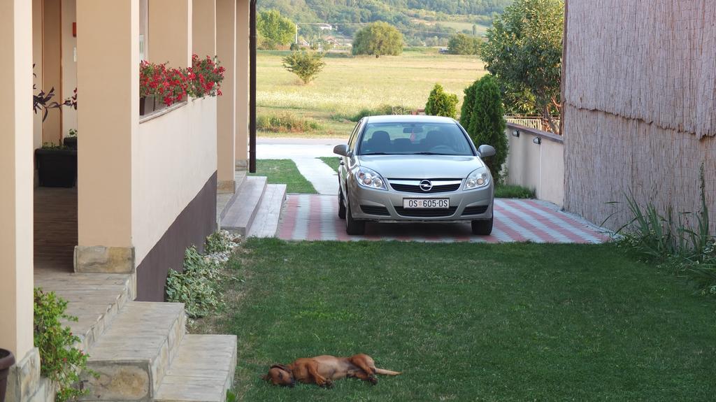 Country House Baranjski Tulipan Draž Exterior foto