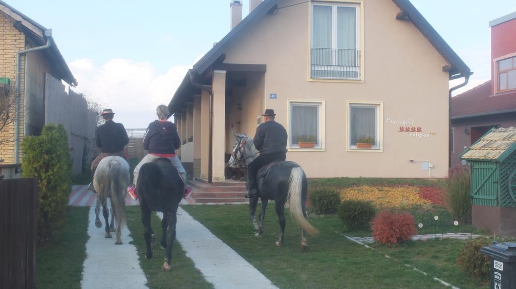 Country House Baranjski Tulipan Draž Exterior foto